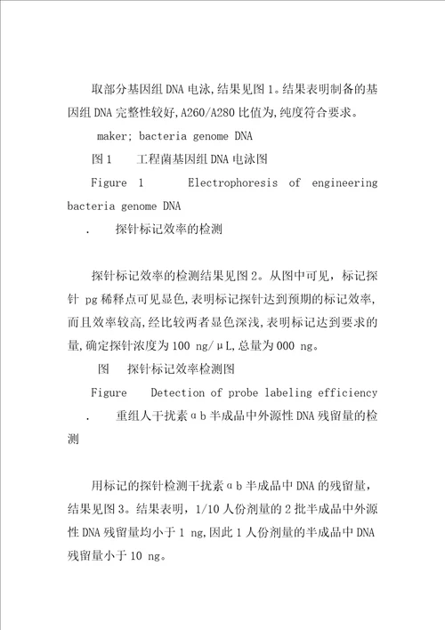 地高辛标记探针检测重组人干扰素2b中DNA残留量的研究