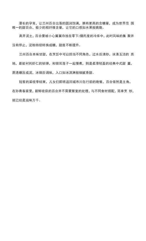 百合类美食纪录片解说词.docx
