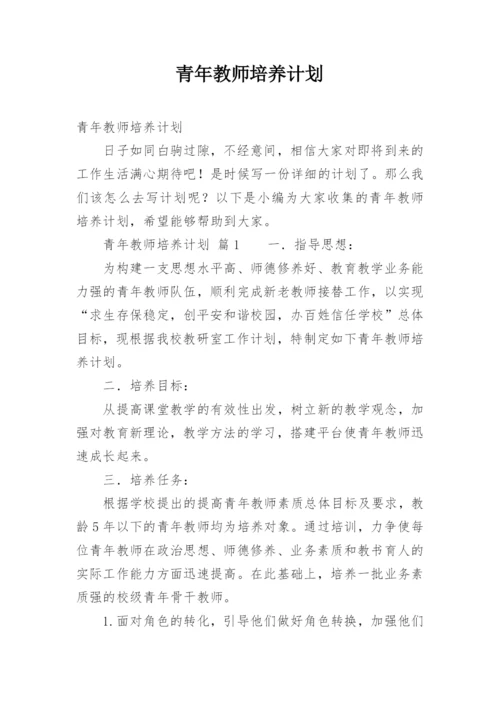 青年教师培养计划.docx