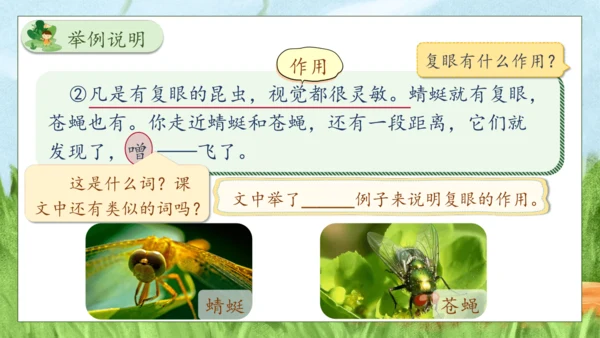 【核心素养】部编版语文三年级下册-4. 昆虫备忘录（课件）