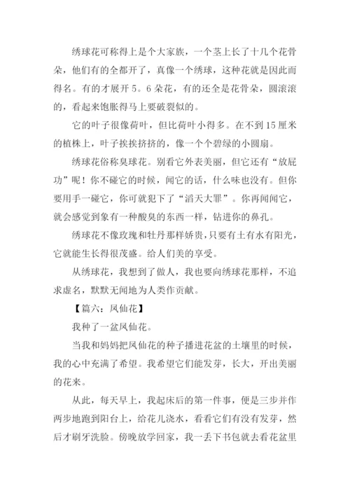 描写一朵花的作文.docx