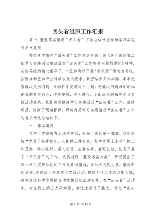 回头看组织工作汇报 (3).docx