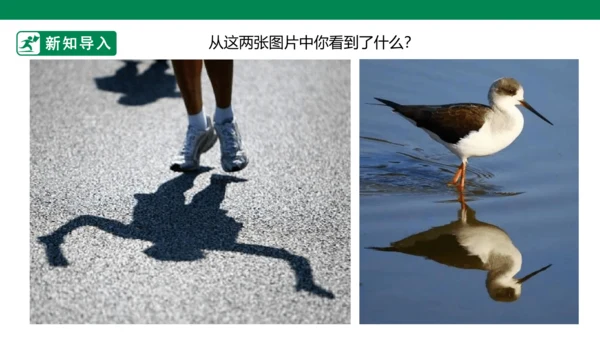 第十七课《画影子》课件
