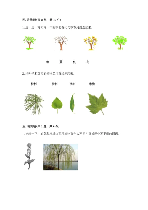 教科版科学一年级上册第一单元《植物》测试卷（培优）.docx