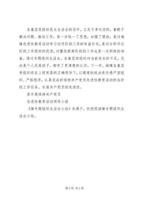 镇专题组织生活会小结 (4).docx