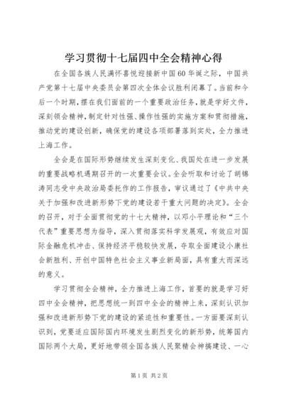 学习贯彻十七届四中全会精神心得.docx