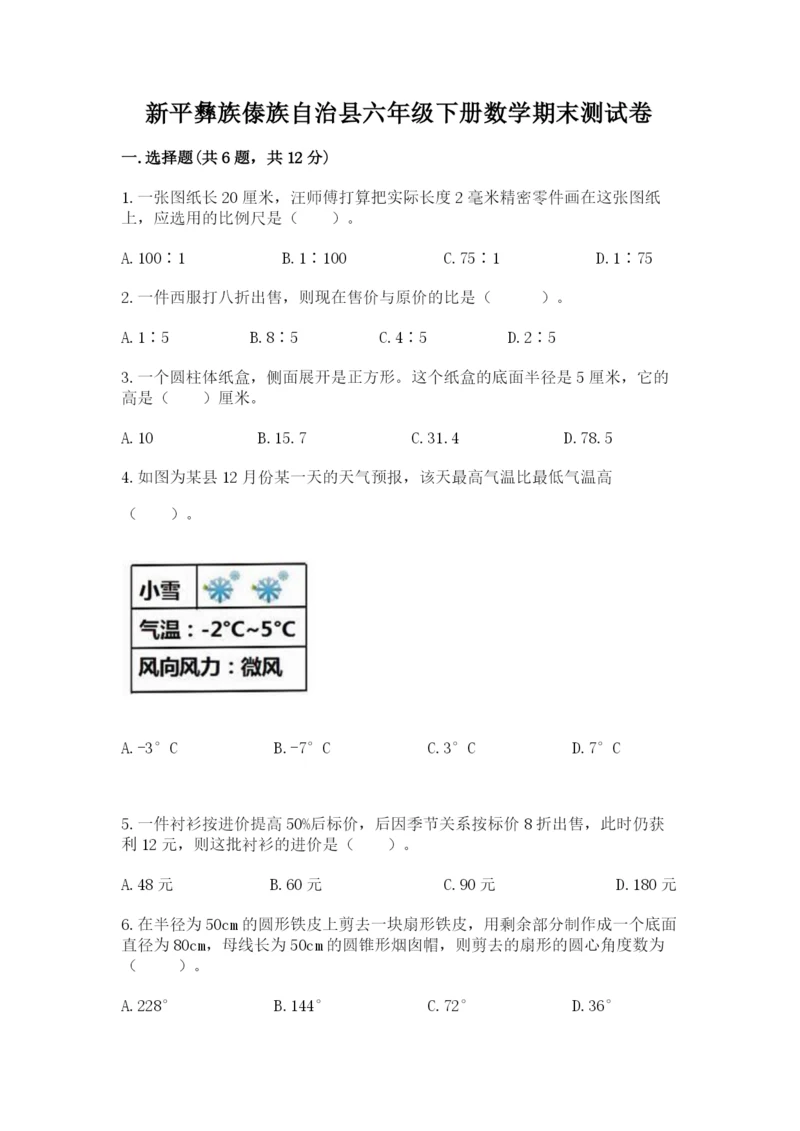 新平彝族傣族自治县六年级下册数学期末测试卷完整答案.docx