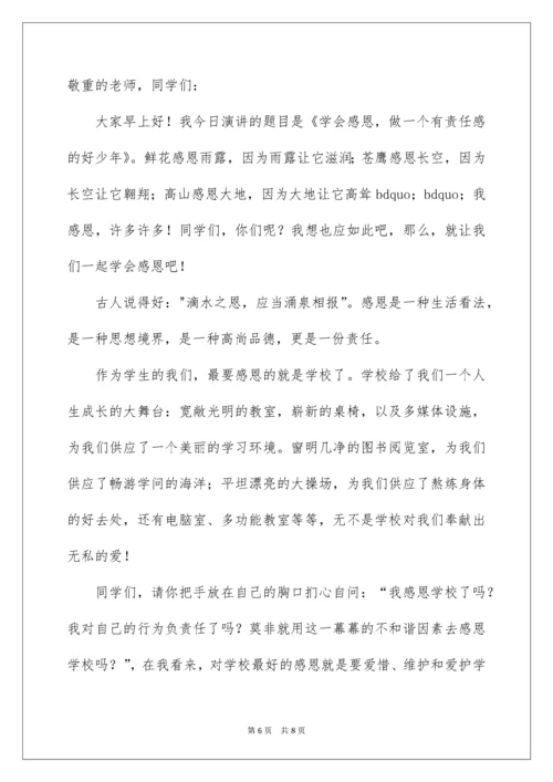 2022《学会感恩，做一个有责任感的好少年》演讲稿.docx