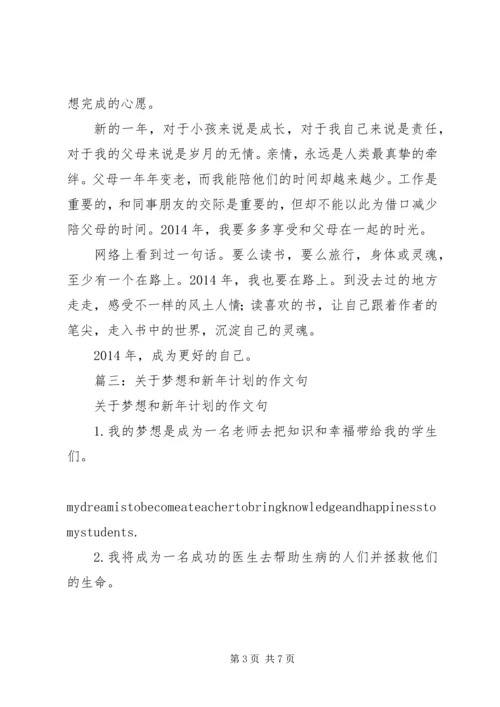 篇一：工作总结与新年计划.docx