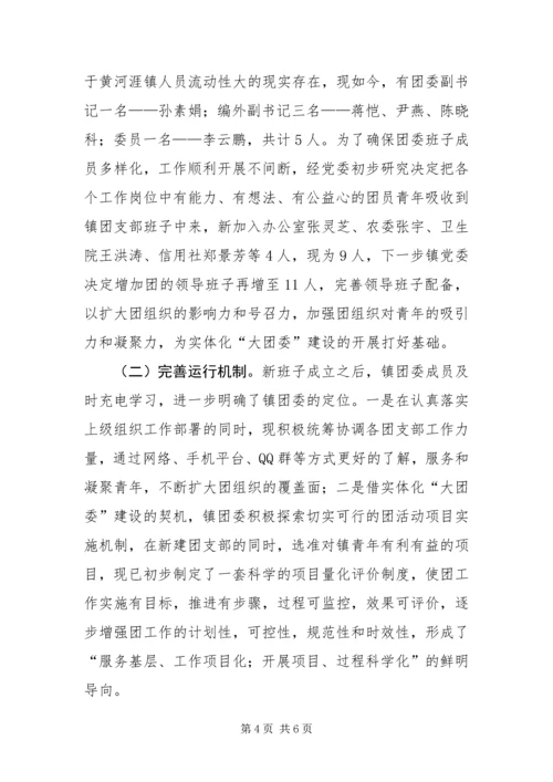 乡镇实体化大团委建设工作报告.docx