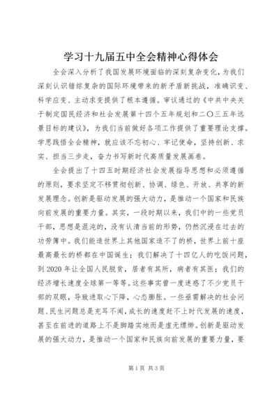 学习十九届五中全会精神心得体会.docx