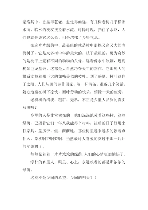 乡间-那一片绿荫作文900字.docx