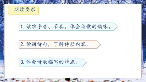 【核心素养】部编版语文四年级下册-11.白桦 第1课时（课件）