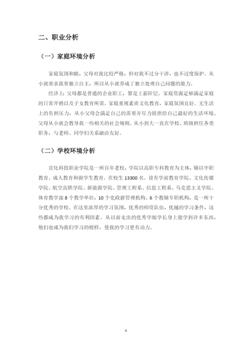 11页4307字计算机应用技术专业职业生涯规划.docx