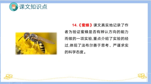统编版三年级语文下册同步高效课堂系列第四单元（复习课件）