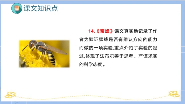 统编版三年级语文下册同步高效课堂系列第四单元（复习课件）