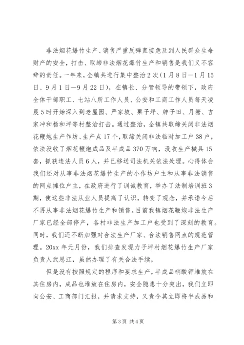 开展烟花爆竹专项检查情况的汇报 (3).docx