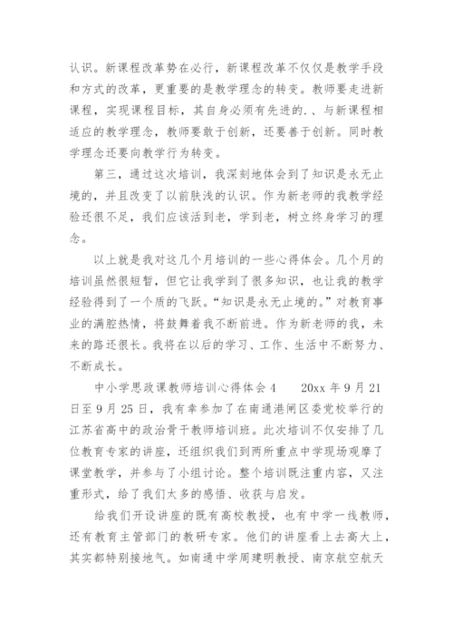 中小学思政课教师培训心得体会.docx