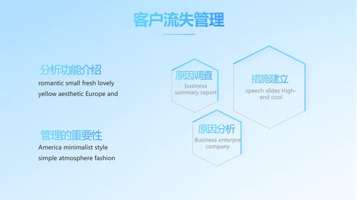 保险医疗工作总结汇报计划动态PPT