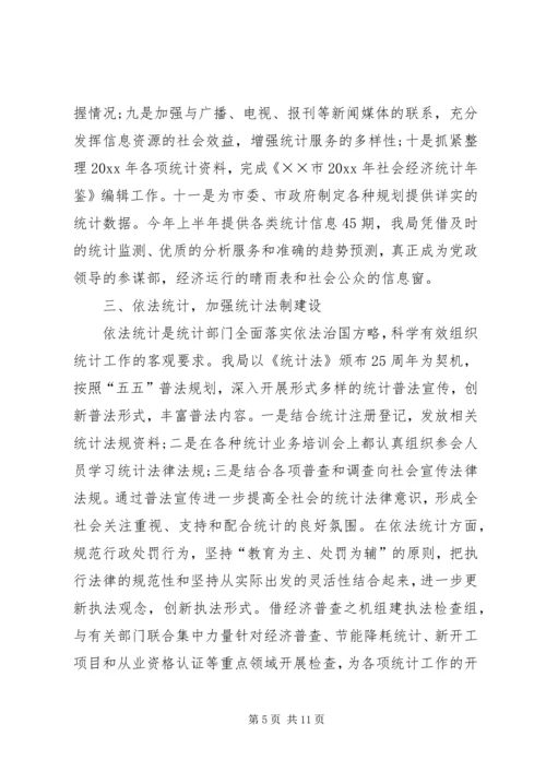 统计局工作总结暨工作计划.docx