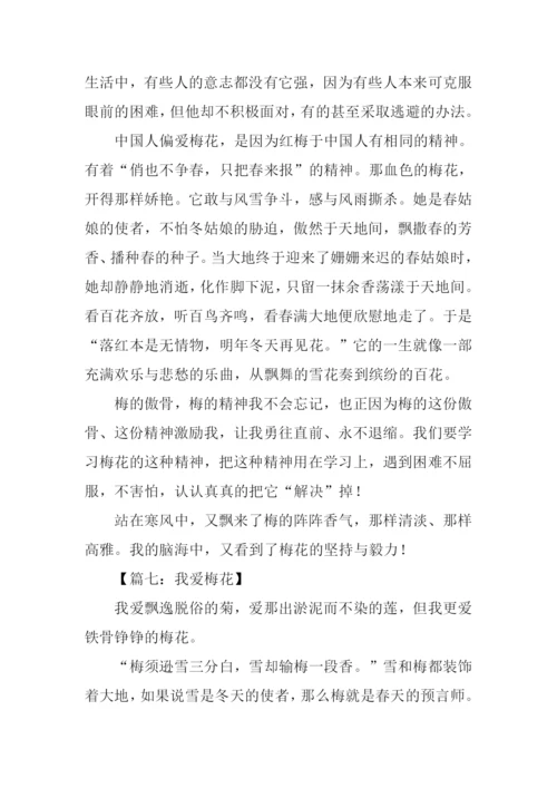 我爱梅花作文.docx