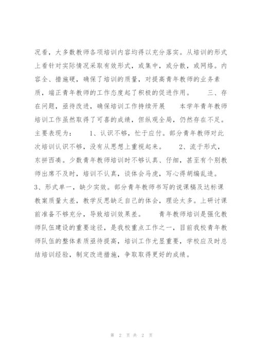 小学青年教师培训总结范文.docx
