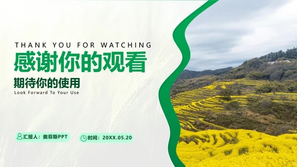 绿色简约风农学专业科研总结