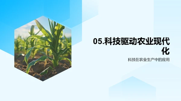 夏至农耕与科技融合