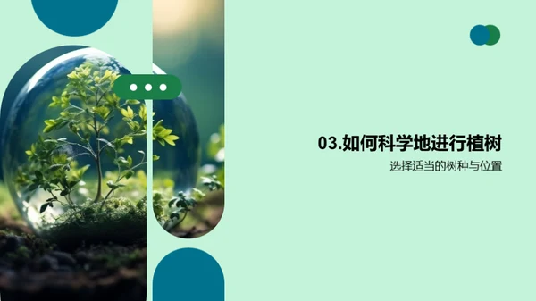 绿化地球：科学植树