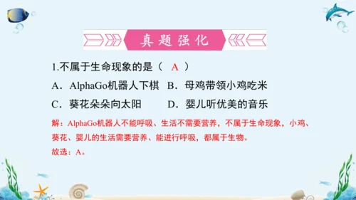 1.1《认识生物》复习课件(18张PPT)