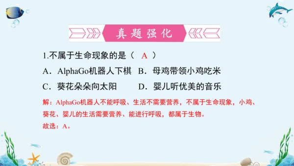 1.1《认识生物》复习课件(18张PPT)