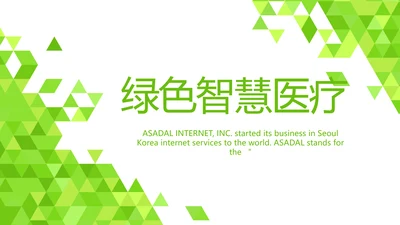 绿色智慧医疗信息化建设工作总结PPT