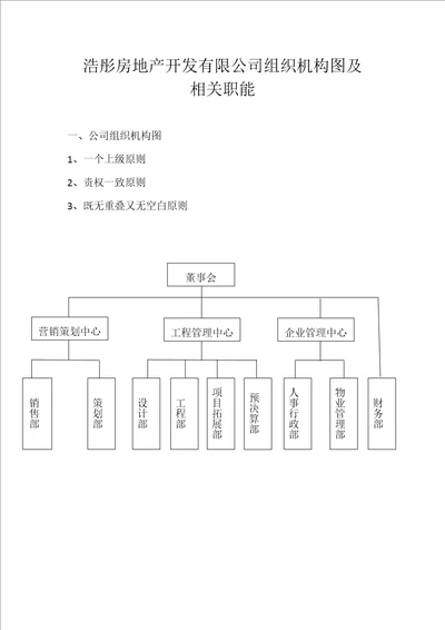 公司组织架构图原版