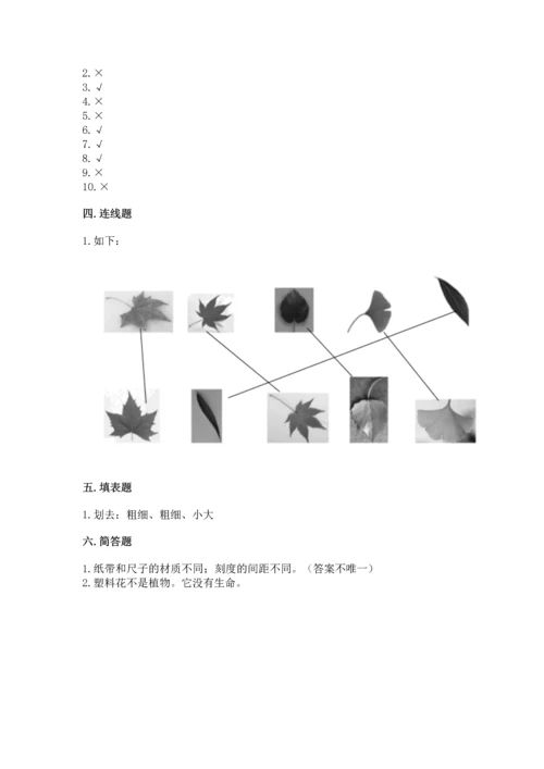 教科版小学一年级上册科学期末测试卷【典型题】.docx