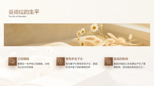 黄色简约风人物事迹介绍PPT