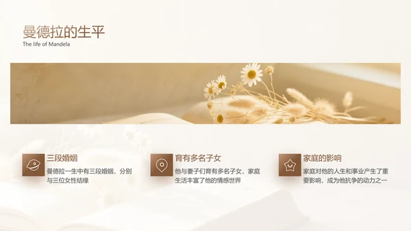 黄色简约风人物事迹介绍PPT