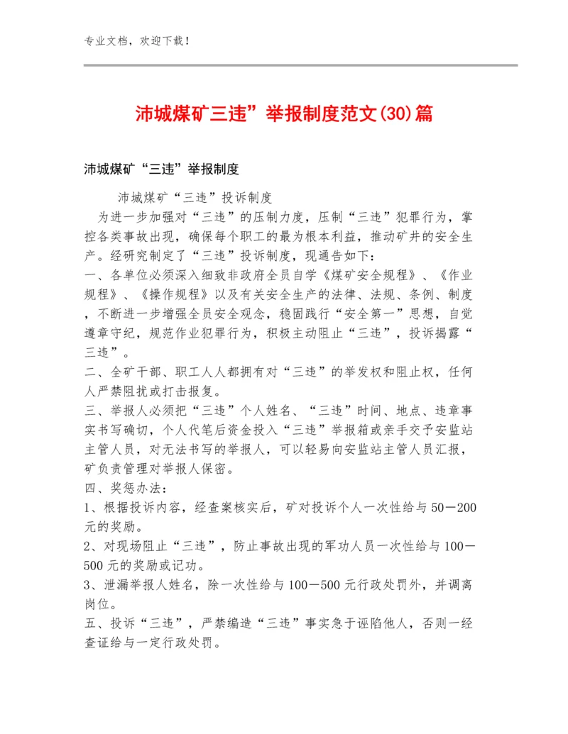 沛城煤矿三违”举报制度范文(30)篇.docx