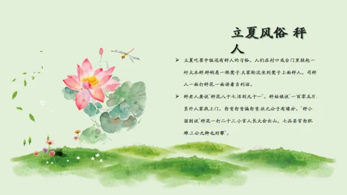 立夏二十四节气通用PPT模板