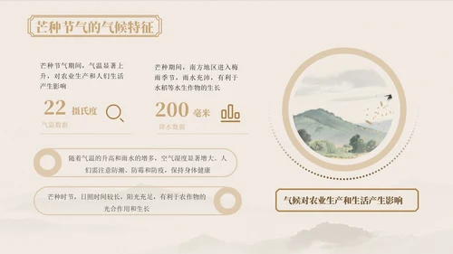 浅粉色中国风芒种节气的传统文化与习俗ppt模版