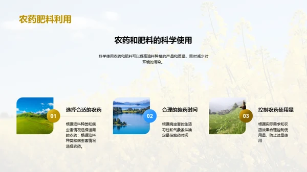 智慧农业：油料种植新篇章