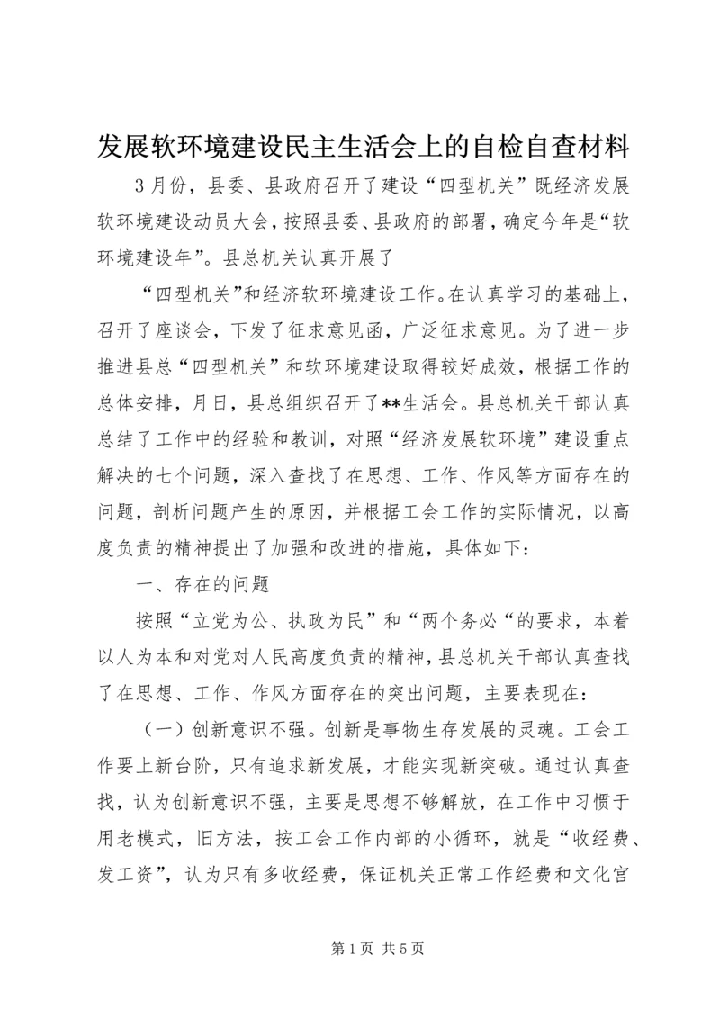 发展软环境建设民主生活会上的自检自查材料.docx