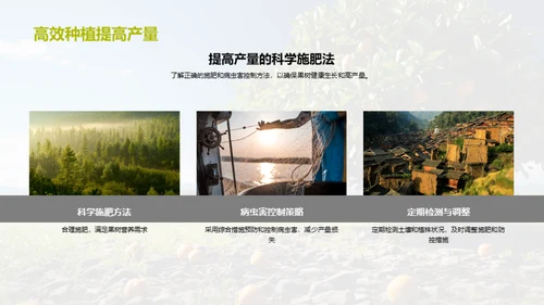 高效果园：种植与增益指南