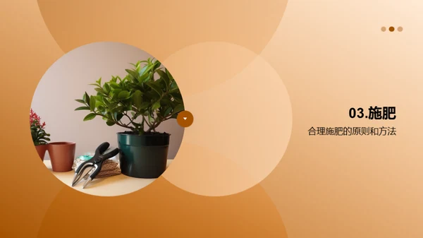 植物养护：小白到专家之路