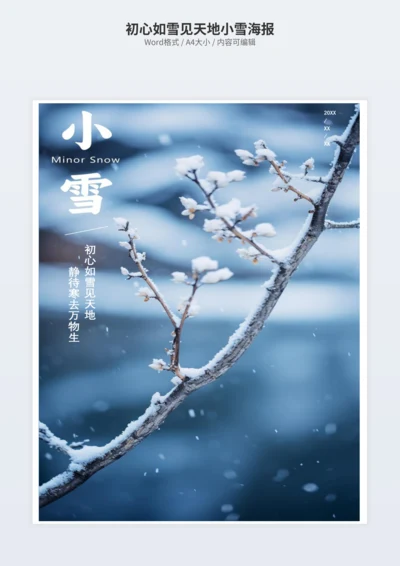 初心如雪见天地小雪海报