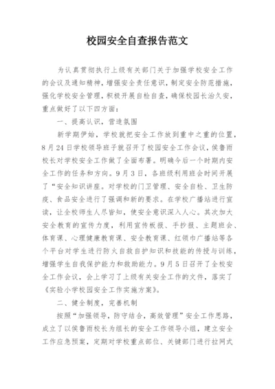 校园安全自查报告范文.docx