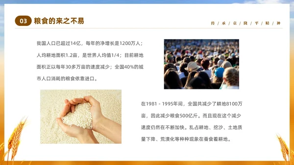 黄色实拍稻穗522纪念杂交水稻之父袁隆平主题班会PPT纪念袁隆平