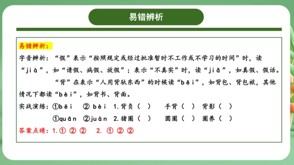 统编版2024三年级语文上册第一单元复习   课件