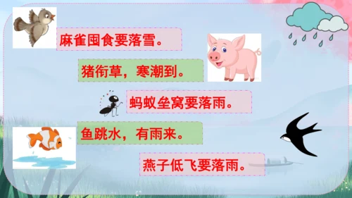 5《大自然的语言》课件
