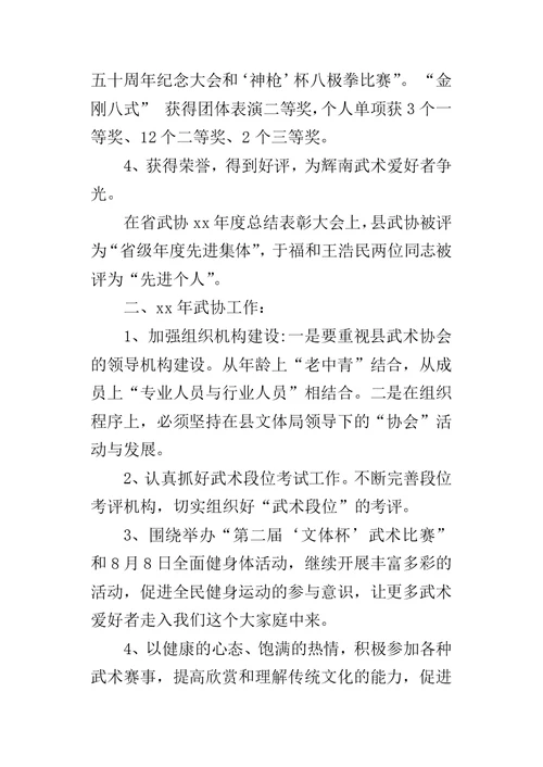 武术协会某年工作总结