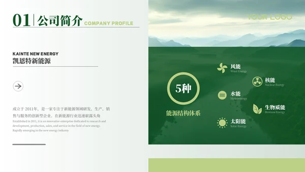 绿色新能源风格汇报总结PPT模板